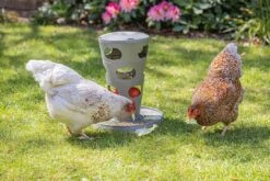 Beeztees Voertoren Kip Grijs -Naturepavo Winkel 0018251 sfeer6