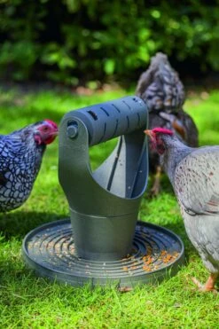 Beeztees Speel- En Snacktoren Kip Grijs 9 Beeztees Speel- En Snacktoren Kip Grijs -Naturepavo Winkel 0018252 sfeer3