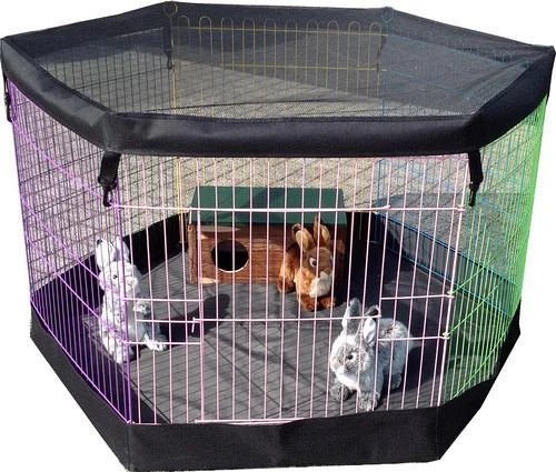 Boon Bodemhoes Voor Draadren Zwart 11 Cm 4 Boon Bodemhoes Voor Draadren Zwart 11 Cm - Afbeelding 2