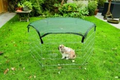 Naturepavo Winkel -Naturepavo Winkel 0275610 sfeer1