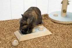 Beeztees Braingame Ballira Mint 9 Beeztees Braingame Ballira Mint -Naturepavo Winkel 0811115 sfeer1