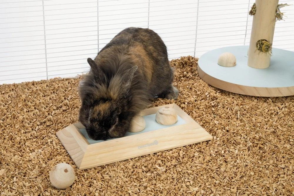 Beeztees Braingame Ballira Mint 6 Beeztees Braingame Ballira Mint - Afbeelding 4