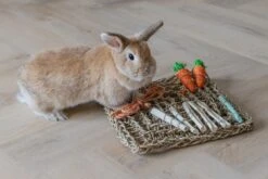 Beeztees Knaagdierspeelmat Nature -Naturepavo Winkel 0811182 sfeer2