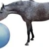 QHP Paardenvoetbal Blauw 100 Cm -Naturepavo Winkel 106104 8005bl 1