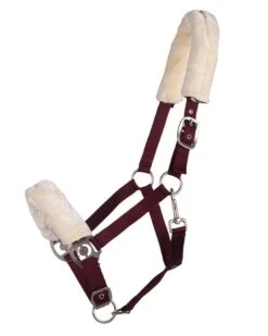 QHP Halster Florence