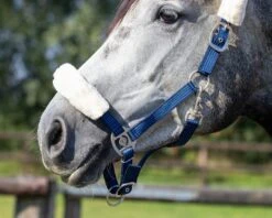 QHP Halster Florence -Naturepavo Winkel 1104na 4