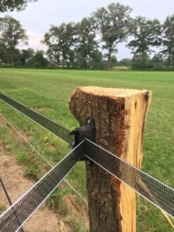 Excellent Isolator Lint Dura-klem Tot 40 Mm 7 Excellent Isolator Lint Dura-klem Tot 40 Mm -Naturepavo Winkel 17859