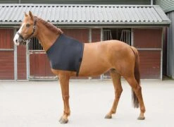 Harry's Horse Borstbeschermer