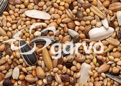 Garvo Grote Parkietenzaad 20 Kg -Naturepavo Winkel 5342 grote parkietenzaad