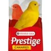 Versele-Laga Prestige Kanaries Zangzaad 20 Kg -Naturepavo Winkel 5410340210383