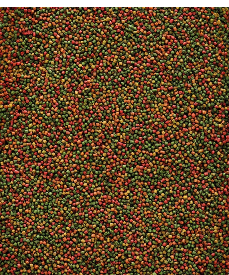 Versele-Laga NutriBird C15 10 Kg 4 Versele-Laga NutriBird C15 10 Kg - Afbeelding 2