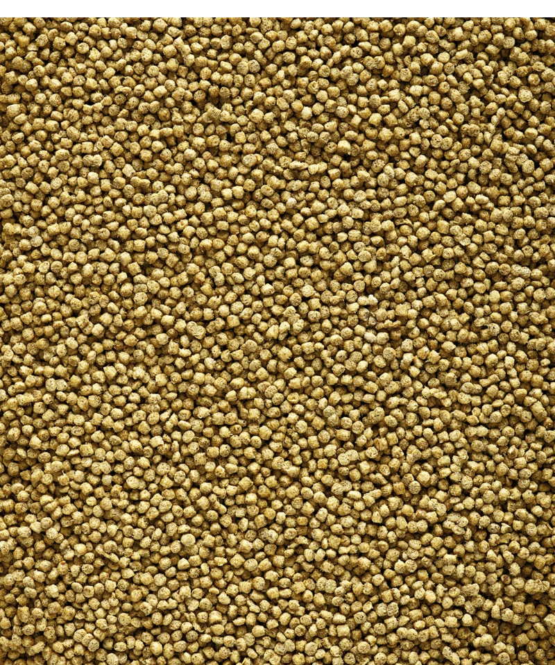 Versele-Laga NutriBird C19 Original 3 Kg 4 Versele-Laga NutriBird C19 Original 3 Kg - Afbeelding 2