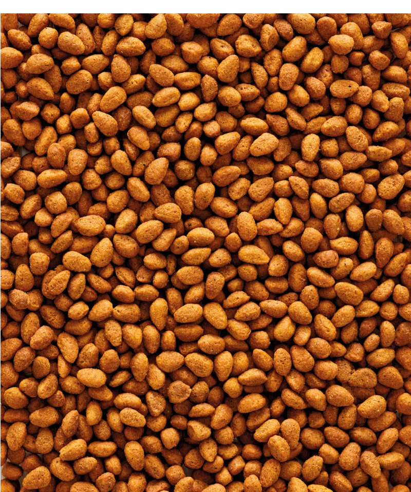 Versele-Laga NutriBird G14 Original 10 Kg 4 Versele-Laga NutriBird G14 Original 10 Kg - Afbeelding 2