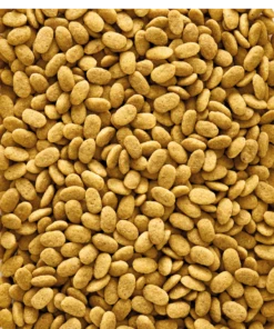 Versele-Laga NutriBird P15 Original 3 Kg -Naturepavo Winkel 5410340221273 1