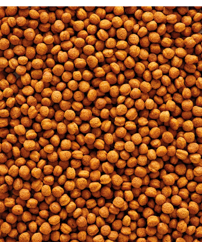 Versele-Laga NutriBird T16 10 Kg 4 Versele-Laga NutriBird T16 10 Kg - Afbeelding 2