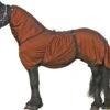 Eczeemdeken Voor Friese Paarden -Naturepavo Winkel 6005