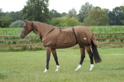 QHP Eczeemdeken Bruin