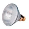 Lamp 100 W Wit Philips Spaar -Naturepavo Winkel 6098
