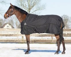 QHP Deken Combo Set Turnout - Onderdeken - Hals Zwart/Twist 8 QHP Deken Combo Set Turnout - Onderdeken - Hals Zwart/Twist -Naturepavo Winkel 6172zwt 3