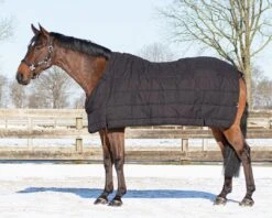 QHP Deken Combo Set Turnout - Onderdeken - Hals Zwart/Twist 9 QHP Deken Combo Set Turnout - Onderdeken - Hals Zwart/Twist -Naturepavo Winkel 6172zwt 4