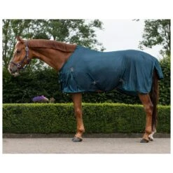 QHP Vliegendeken Basic Teal