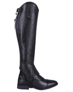 QHP Chap Birgit HS Zwart