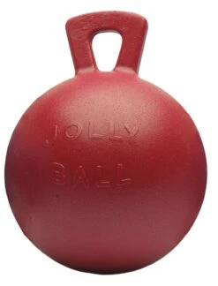 Jolly Ball Geurloos 25 Cm -Naturepavo Winkel 7252