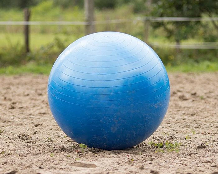QHP Paardenvoetbal Blauw 80 - 100 Cm 3 QHP Paardenvoetbal Blauw 80 - 100 Cm