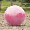 QHP Paardenvoetbal Roze 80 - 100 Cm -Naturepavo Winkel 8005rz 2 1