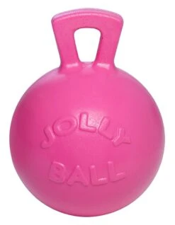 Jolly Ball Met Geur 25 Cm -Naturepavo Winkel 8170