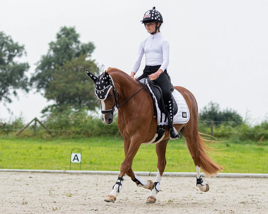 QHP Cap Cover Halloween 9 QHP Cap Cover Halloween - Afbeelding 7