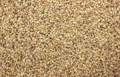 Paddy 25 Kg 7 Paddy 25 Kg -Naturepavo Winkel 8711447200336 2