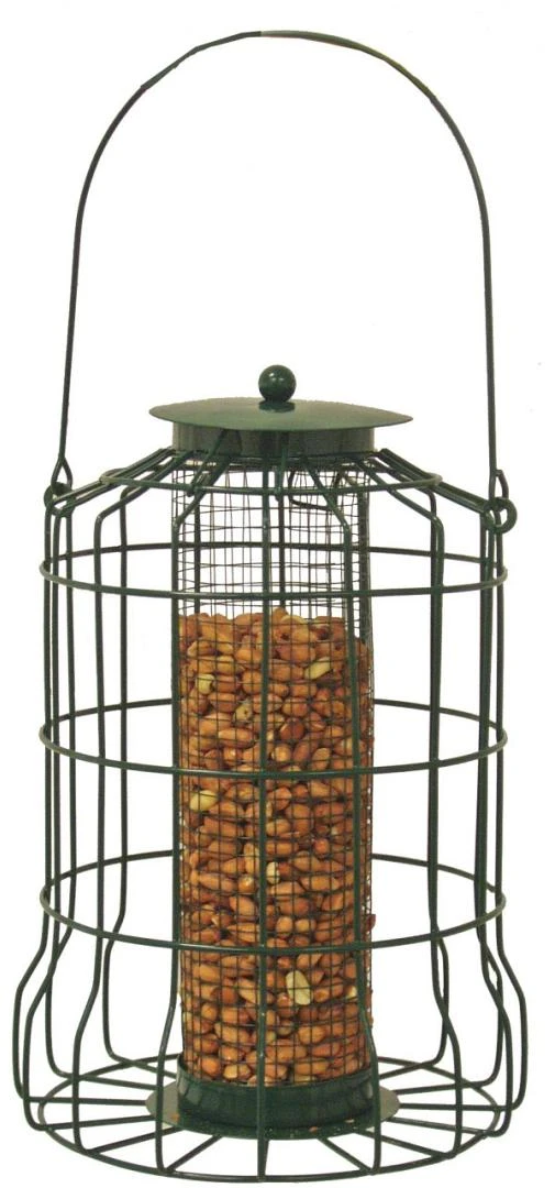 Boon Pindahouder Voor Kleine Vogels Metaal Groen 3 Boon Pindahouder Voor Kleine Vogels Metaal Groen