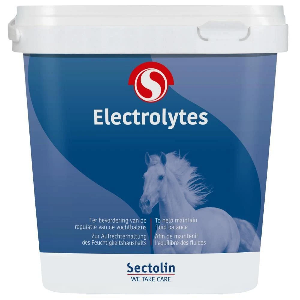 Sectolin Equivital Electrolyten 3 Kg 3 Sectolin Equivital Electrolyten 3 Kg