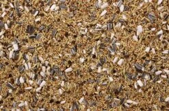 Grote Parkiet - Valkparkiet 20 Kg -Naturepavo Winkel 8715207100218 2