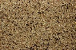 Agapornis - Grote Parkiet Zonder Zonnepitten 20 Kg -Naturepavo Winkel 8715207100270 2