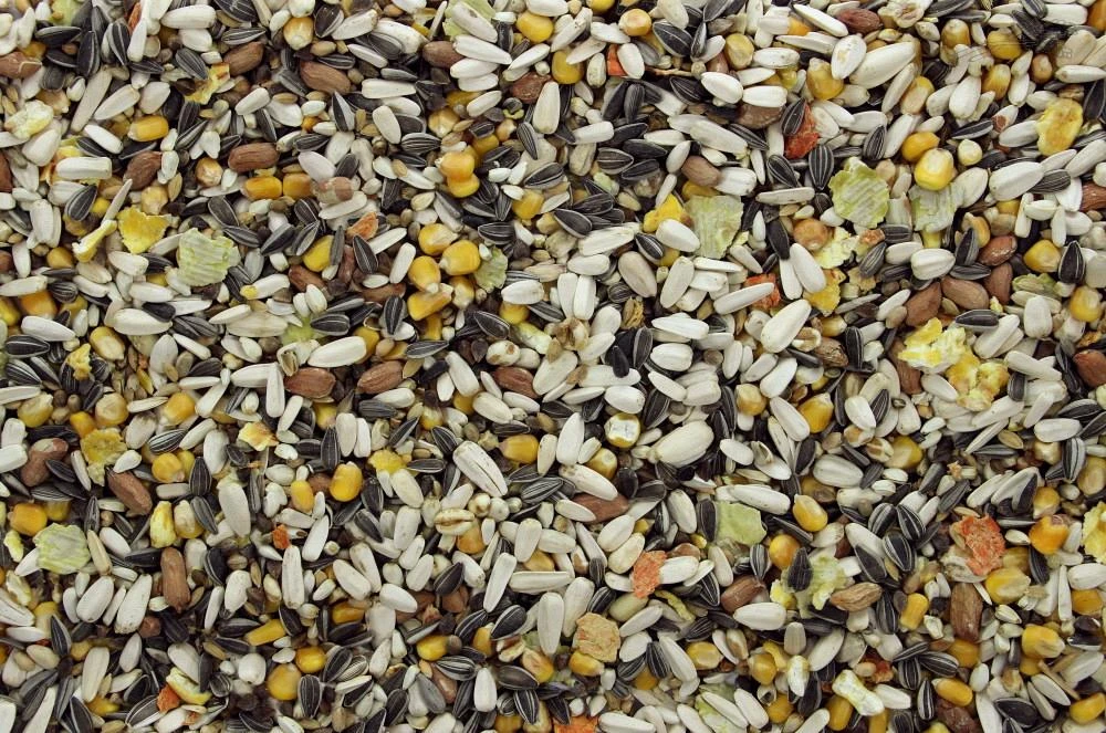 Papegaaienvoer 12,5 Kg 5 Papegaaienvoer 12,5 Kg - Afbeelding 3