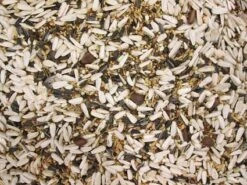 Papegaaienvoer Speciaal 20 Kg -Naturepavo Winkel 8715207100577 2