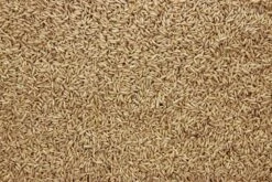 Haver Gepeld 20 Kg 7 Haver Gepeld 20 Kg -Naturepavo Winkel 8715207102410 2