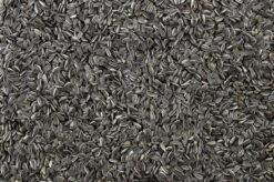 Zonnepitten Gestreept 12,5 Kg 7 Zonnepitten Gestreept 12,5 Kg -Naturepavo Winkel 8715207102526 2