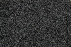 Zonnepitten Zwart 12,5 Kg -Naturepavo Winkel 8715207102533 2