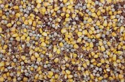 Populair Duivenvoer 20 Kg -Naturepavo Winkel 8715207200819 2