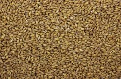 Gerst I 20 Kg -Naturepavo Winkel 8715207200918 2