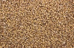 Tarwe 20 Kg -Naturepavo Winkel 8715207201014 2