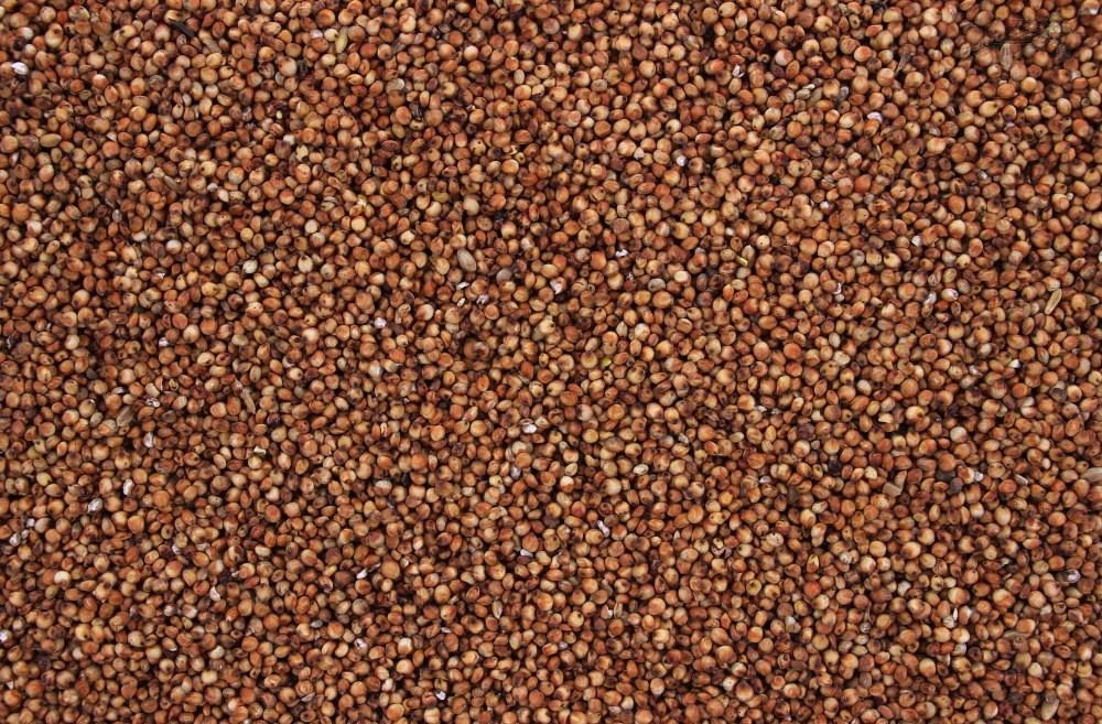 Dari Rood 20 Kg 5 Dari Rood 20 Kg - Afbeelding 3