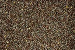 Winter Peas 20 Kg 7 Winter Peas 20 Kg -Naturepavo Winkel 8715207201557 2