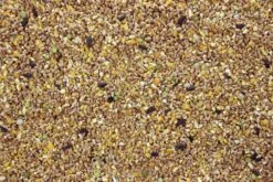 Ardeens Graan 20 Kg -Naturepavo Winkel 8715207250142 2