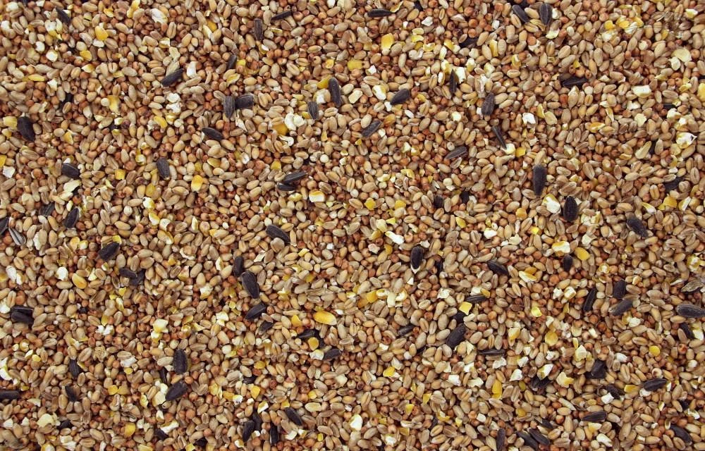 Fazantengraan 20 Kg 5 Fazantengraan 20 Kg - Afbeelding 3