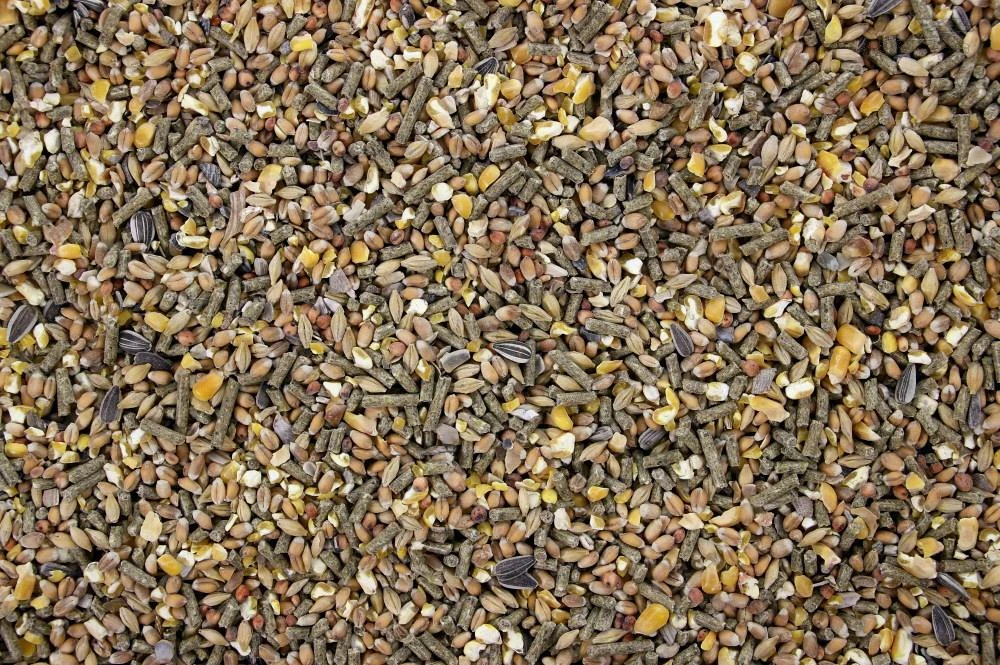 Scharrelmix Pluimvee 20 Kg 5 Scharrelmix Pluimvee 20 Kg - Afbeelding 3