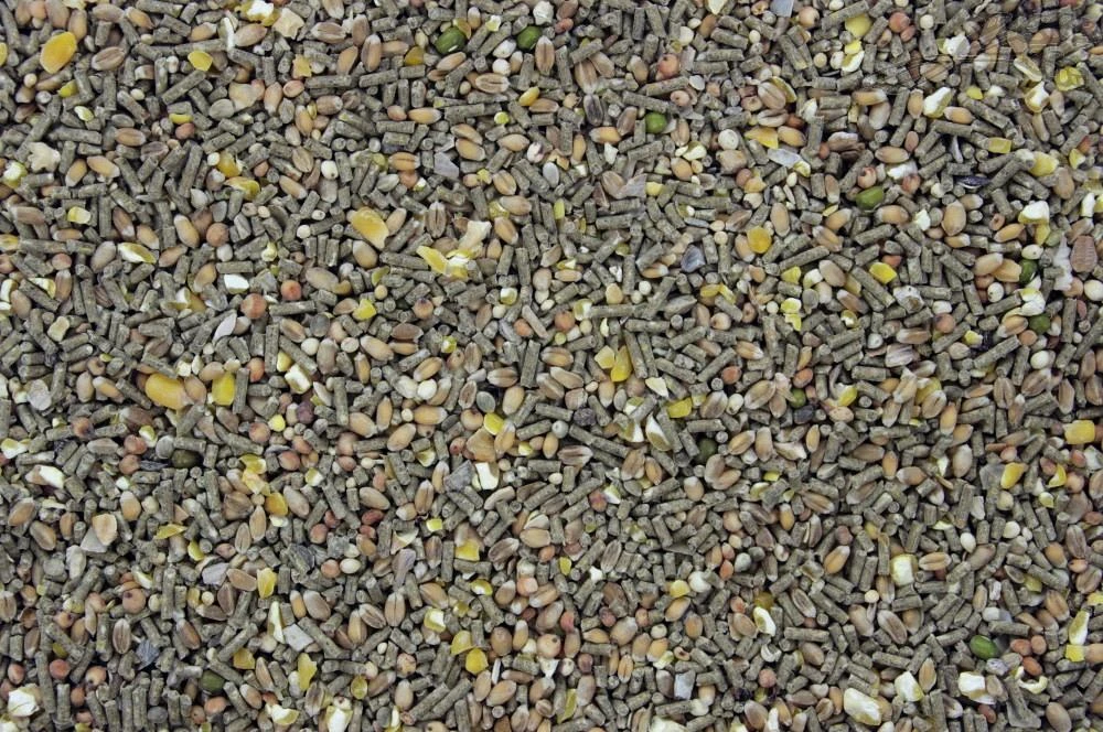 Krielkip/Kwartel Scharrel Mix 20 Kg 4 Krielkip/Kwartel Scharrel Mix 20 Kg - Afbeelding 2